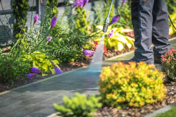 Best Soft Washing for Delicate Surfaces in Lake Geneva, WI
